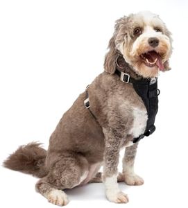 Kurgo Enhanced Strength Tru-Fit Smart Dog Harness, Black, X-Large - Crash Tested Car Safety Harness for Dogs, No Pull Dog Harness, Includes Pet Safety Seat Belt Tether