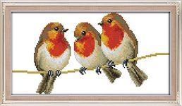 Awesocrafts Cross Stitch Kits, Three Little Birds Easy Patterns Cross Stitching Embroidery Kit Supplies, Counted Options for Adults Beginners Kids Gifts (Birds, Counted)