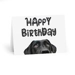 Black Labrador Birthday Card