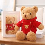 COLORS Teddy Bear Plush- cuddly soft toys - 30cm small brown bear - Cute Stuffed animal in T-shirt - Lovely Gift for Kids, Girls, boys, Girlfriend for Christmas, Valentine, birthday! (Brown-Red)