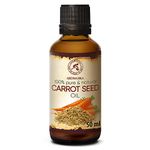 Carrot Seed Carrier Oil 50ml - Daucus Carota - Cold Pressed Carrot Seed Oils for - Skin & Body Care - Nourishing - Beauty - Hair Care - Nails Care