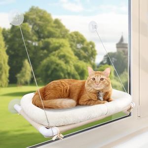 Cat Bed Wi