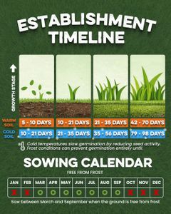Grassias Fast Growing Grass Seed 1.7kg – Hard Wearing, Pet Friendly Lawn Seed for Overseeding & New Lawns, Winter & DEFRA Approved