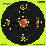 Splatterburst Targets - 12 inch Mul