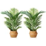 LOMANTO Fake Majesty Palm Plant 3Ft Artificial Plants for Home Decor Indoor Small Faux Trees in Pot Fake Tropical Plants for Housewarming Gift 2Pack