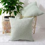 MERNETTE New Year/Christmas Decorations Chenille Soft Decorative Square Throw Pillow Cover Cushion Covers Pillowcase, Home Decor for Party/Xmas 18x18 Inch/45x45 cm, Light Green, Set of 2