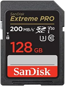 SanDisk 12