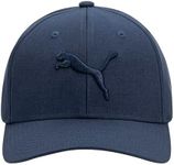 PUMA Men's Evercat Icon Snapback Ca