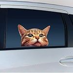 Cat Car Window Decals Funny 3D Weat