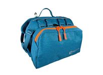 RC Pet Products Quest Day Pack, Dog Backpack, Medium, Heather Teal