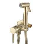 Handheld Bidet Sprayer Brushed Gold Warm Water, WiPPhs Stainless Steel Bidet Hand Held Sprayer for Toilet with Brass Hot and Cold Mixing Valve, WI9138BG, NPT 1/2 Standard Size