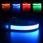 MASBRILL Led Dog Collar Light Up Collars Dog Rechargeable Night Lighted Dog Collar Water-Resistant Blue Glowing Dog Collar 4 Colors for Choice