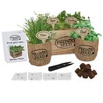 Indoor Herb Growing Kits