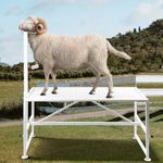 Belinova Goat Milking Stand Goat Stand Sheep Stand for Trimming Metal Livestock Stand with Adjustable Headpiece Goat Shearing Livestock Stand Height Adjustable, White