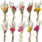 10 Pack Mini Dried Flower Bouquet, Dried Flowers with Stem Small Dried Wildflowers Combinations Dried Pressed Flowers Floral for DIY Craft Scrapbook Card Gift Wedding Decorations (Rose Series)