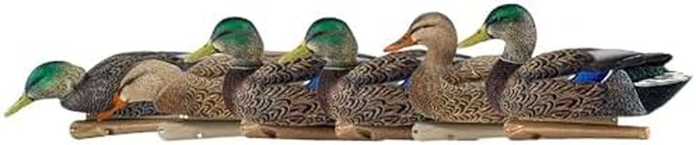 Avian X Topflight Early Season Mallard Duck Decoys, Floating Hunting Pack with Realistic Paint and Motion Keel, Multicolor, 6 Pack