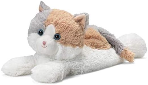 Calico Cat