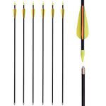 26 Inch Fiberglass Arrows Archery Traditional Recurve Bow Arrows Practice Target for Beginners Kids Youth Arrows Outdoor (Pack of 6)