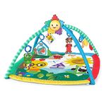 Baby Einstein Friends Plays