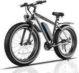 Vivi F26FUL Electric Bike Peak 1000