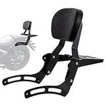 Gamyipp Powersports Sissy Bar with 