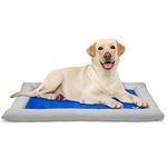 Arf Pets Dog Self Cooling Bed Pet Bed - Self Dog Cooling Mat for Pets - Pet Cooling Pad Includes a Foam Based Bolster Bed for Comfort - Solid Gel Based Puppy Cooling Mat