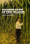 Raising Cane in the 'Glades: The Global Sugar Trade and the Transformation of Florida