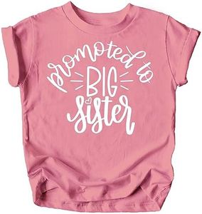 Olive Loves Apple Promoted to Big Sister Colorful Announcement T-Shirt for Baby and Toddler Girls Sibling Outfits Mauve Shirt