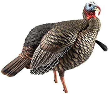 Avian-X HDR Jake Turkey Decoy | Rugged Durable Realistic Lifelike Quarter-Strut Body Standing Hunting Decoy with 2 Removable Heads, Mounting Stake & Carry Bag