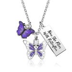 QeenseKc Butterfly MusicCremation Urn Necklace for Ashes Keepasake Memorial Urn Locket for Ashes Jewelry Gift, Metal, base