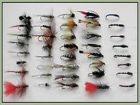 Trout Fishing Flies, 40 Pack, Mixed Wet, Dry, Buzzer & Nymphs, Mixed Sizes