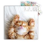 Cat Calendar 2024 with Sticker Pack