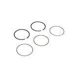 Briggs and Stratton 594437 Piston Ring Set Lawn Mower Parts