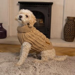 AllPetSolu