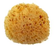 Bath Sea Sponges