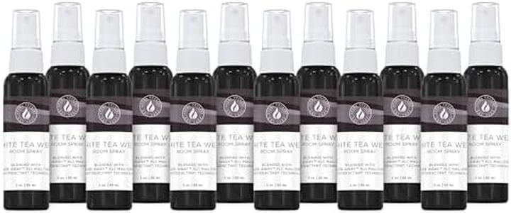 Blaze Away White Tea West Air Freshener Spray, Commercial Room Spray for Hotels & Spas - Long Lasting Hotel Scent Room Fresheners, Deodorizer