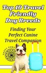 Friendly Dog Breeds