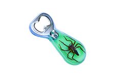 Trendy Zone 21 Glow in the Dark Neon Green Background Spider Acrylic Bottle Opener, Wine Beer Opener, Sturdy Steel with Magnet, For Kitchen Bar Restaurant – Glow in the Dark Neon Green