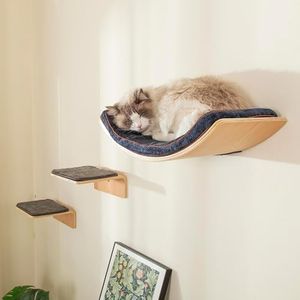 LIORCE Cat