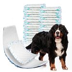 Pet Soft Dog Diaper Liners - 50 Count Disposable Dog Nappy Liners, Booster Pads for Male Female Dogs, Super Absorbent Dog Inserts Pads for Dog Nappies (Blue Bone, XL-50)