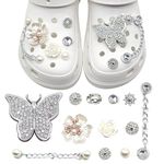 Wondora 12 Pieces Shoe Charms, Removable Crystal Diamante Shoe Decoration Charms, DIY Sandals Shoe Decorations Bling, Multi Style for Adults, Teenage Girl Gift, Birthday Gift, Party Gift (Dragonflies)