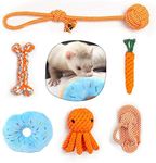 SIT ZIT 6 Pack Ferret Toys Durable 