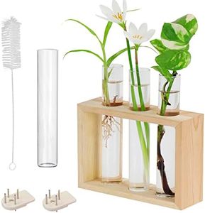 BELLE VOUS Porte Plante Mural en Verre de Tube à Essai - 4 Tubes à Fleurs (1 de Rechange) avec Support en Bois - Vase Suspendu Moderne pour Plantes, Maison, Culture, Hydroponie et Décoration