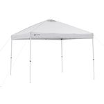 Ozark Trail Instant 10' x 10' Straight Leg Canopy / Gazebo by OZARK