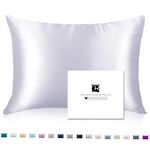 Silk Pillow Case for Hair and Skin with Hidden Zipper, Ravmix Both Sides Mulberry Silk Pillowcase Cooling Pillow Case Standard Size 20×26inches, Gift for Women Men, 1PCS, Silver Grey