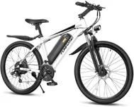 Funhang Electric Bike for Adults, 1