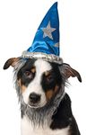 Rubies Costume Co Wizard Hat with Beard for Pets, Small/Medium, Blue/Silver