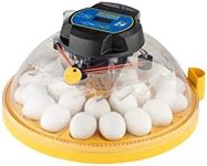 Brinsea Maxi 24 EX Egg Incubator wi