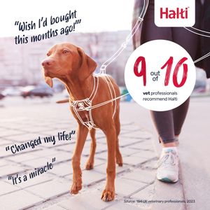 HALTI No Pull Dog Harness, Medium – Black Adjustable Training Harness