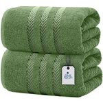 DAN RIVER Bath Sheets Set of 2 – 550 GSM Ultra Super Soft Sheets – 100% Cotton Jumbo Large Bath Towels for Bathroom, Home, Hotel, Spa, Beach, Pool, Gym – 35”x70” in Sage Green